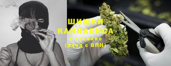 экстази Арсеньев