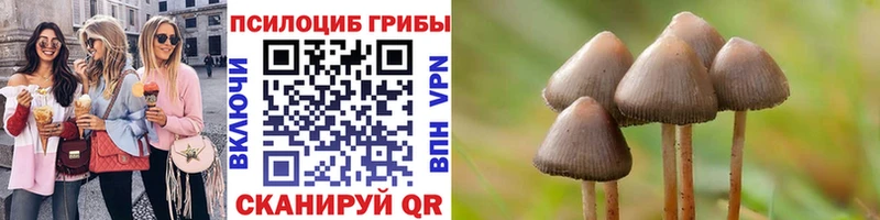 продажа наркотиков  Спас-Клепики  Галлюциногенные грибы мухоморы 